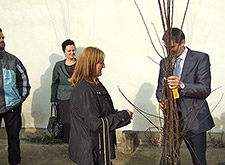 New seedlings for better fruit production in Vranje